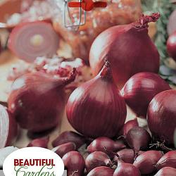 Onion Red 32 lbs