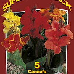 Canna Happy Mix 15x4