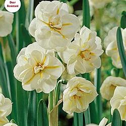 Sir Winston Churchill