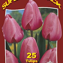 Pink Impression 20x25