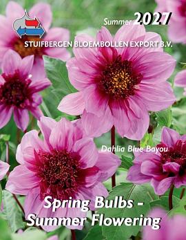 Spring bulbs, Summer flowering 2027