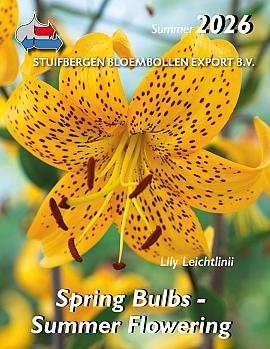 Spring bulbs, Summer flowering 2025