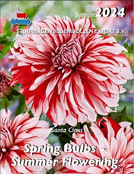 Spring bulbs, Summer flowering 2024