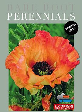 Bare Roots Perennials