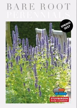 Bare Roots Perennials 2027