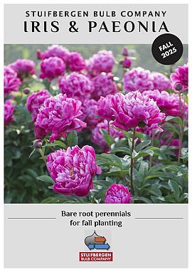 Iris & Paeonia - Fall 2025