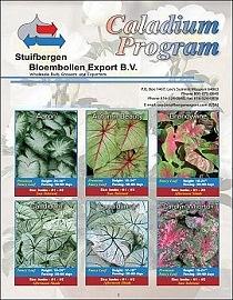 Caladium Program 