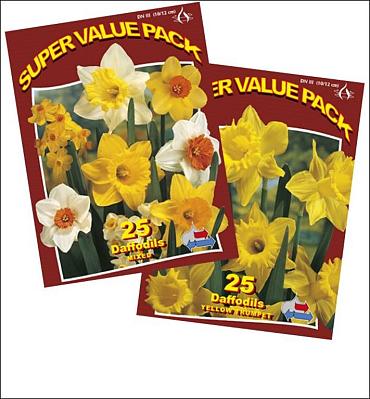 Assorted Daffodils 2x5x25