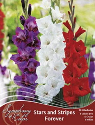 Stars and Stripes Forever