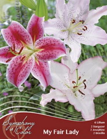 My Fair Lady Spring