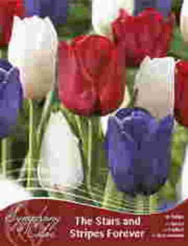 The Stars and Stripes Forever