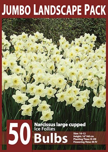 Ice Follies 10x50