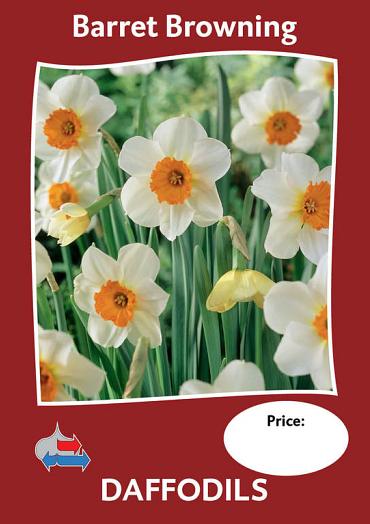 Barrett Browning