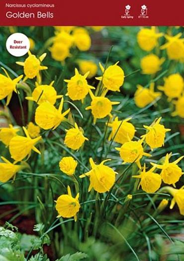Golden Bells