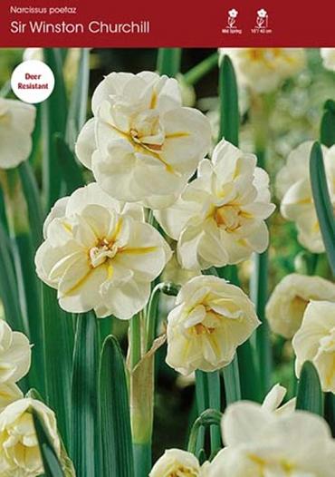 Sir Winston Churchill