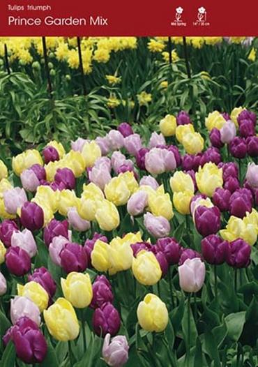 Prince Gardens Mixed