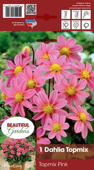 Topmix Pink