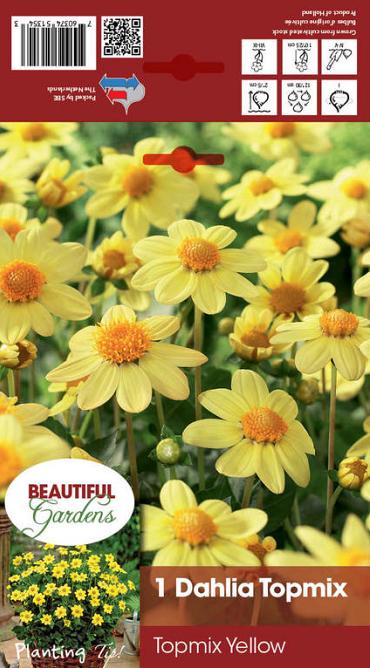 Topmix Yellow