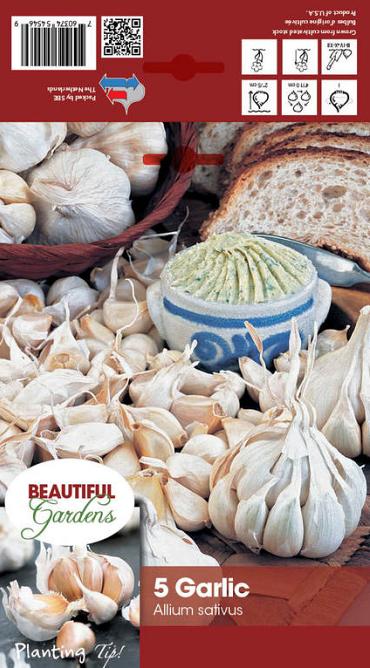 Garlic