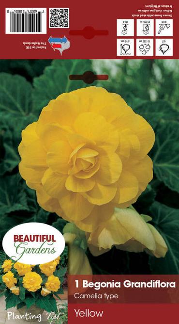 Double Camelia Yellow