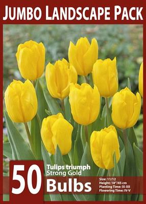 Strong Gold 10x50