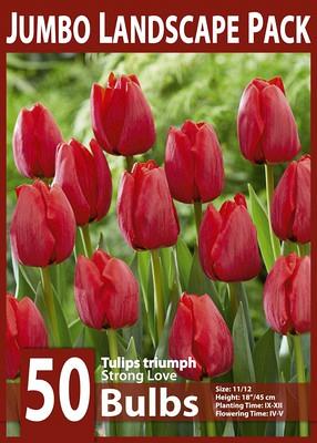 Strong Love 10x50