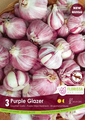 Purple Glazer