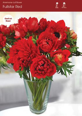 Fullstar Red