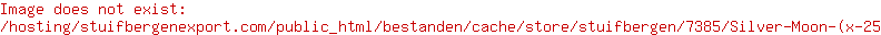Silver Moon (x 25)