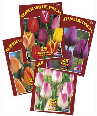 Assortment Triumph 5x4x25