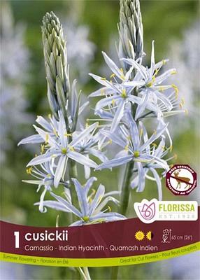 cusickii