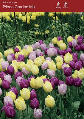 Prince Gardens Mixed