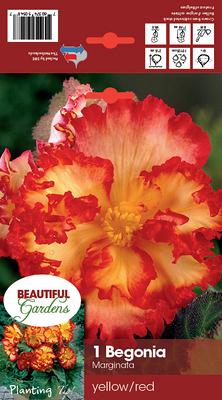 Crispa Marginata Yellow