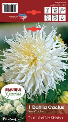 Tsuki-Yori-No-Shisha