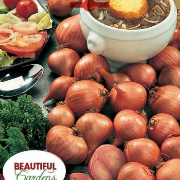 Shallots Yellow