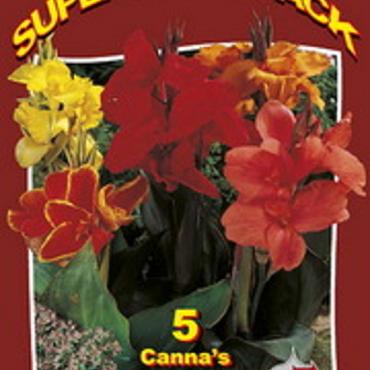 Canna Happy Mix 15x4