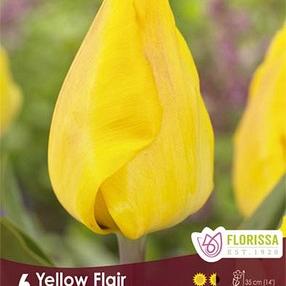 Yellow Flair
