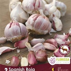 Spanish Roja
