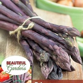 Purple Passion