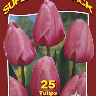 Pink Impression 20x25