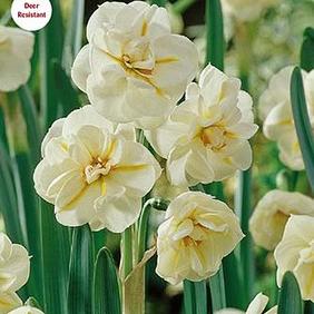 Sir Winston Churchill