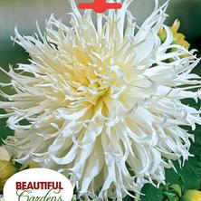 Tsuki-Yori-No-Shisha