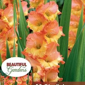 Prinses Margaret Rose