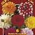 Dahlia Decorative 20x6