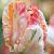 Apricot Parrot