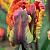 Rasta Parrot