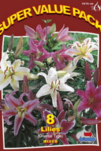Lilium Oriental Mixed 20x6