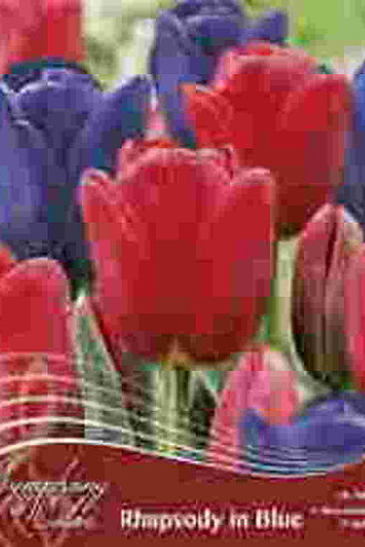 Rhapsody in Blue