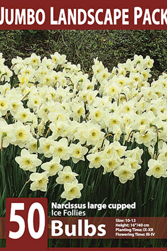 Ice Follies 10x50