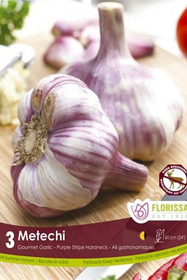 Garlic Metechi